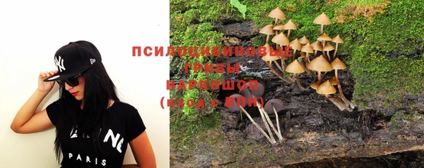 ALPHA-PVP Няндома